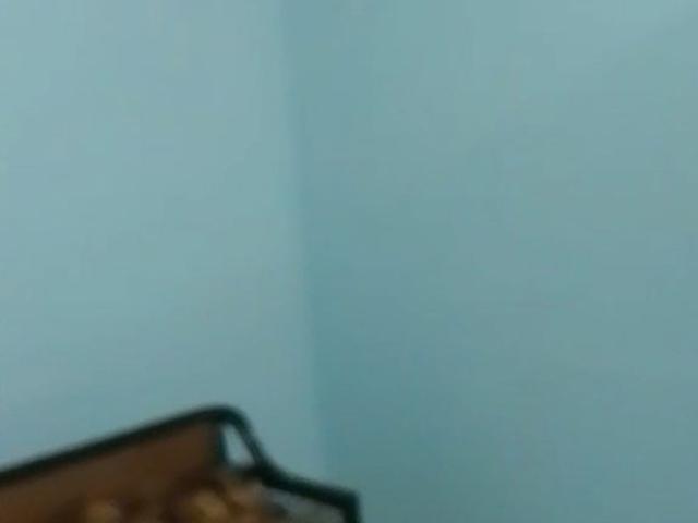 Property for rent in West Patel Nagar, Delhi