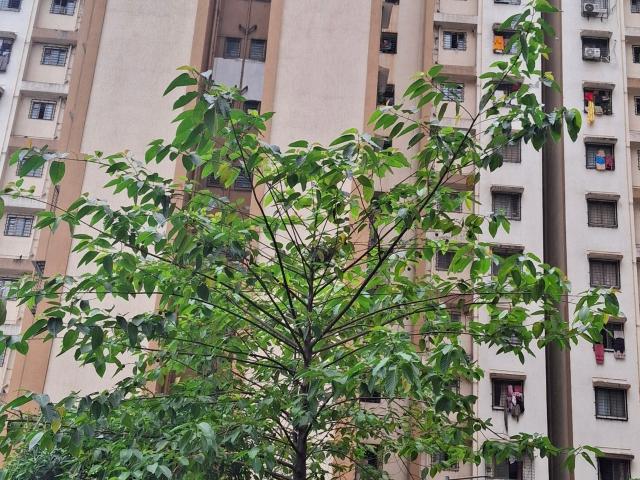 Flat for rent in Sector 10, Navi Mumbai