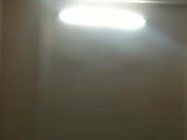 Property for rent in Mehrauli, Delhi