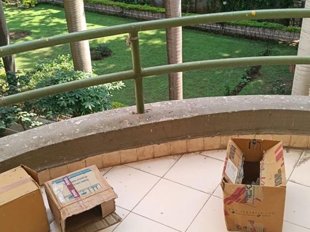 Flat for rent in Aundh, Pune