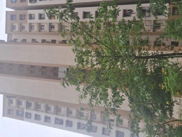 Flat for rent in Sector 10, Navi Mumbai