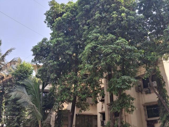 Flat for rent in Sector 9, Navi Mumbai