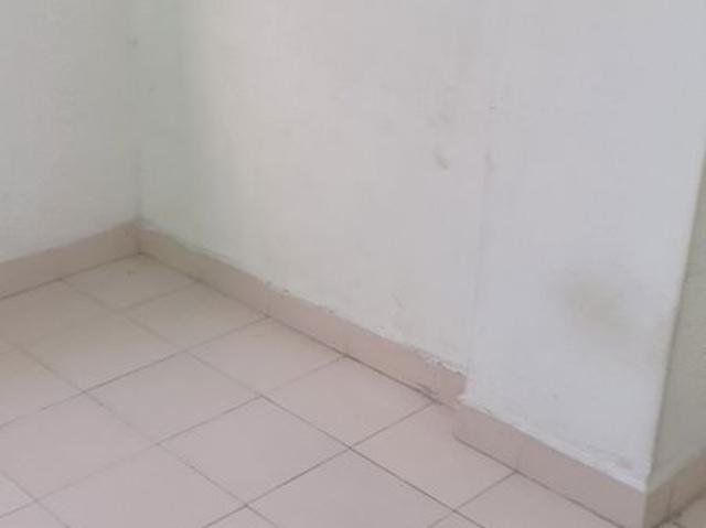 Flat for rent in Aundh, Pune