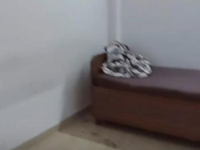House for rent in Sector 12, Noida