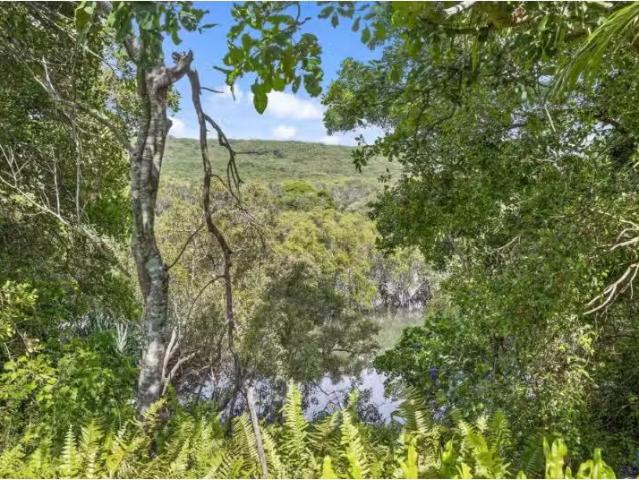 Condo for rent in Hastings Point, New South Wales