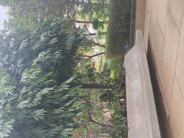 Flat for rent in Ranga Reddy, Haidarabad