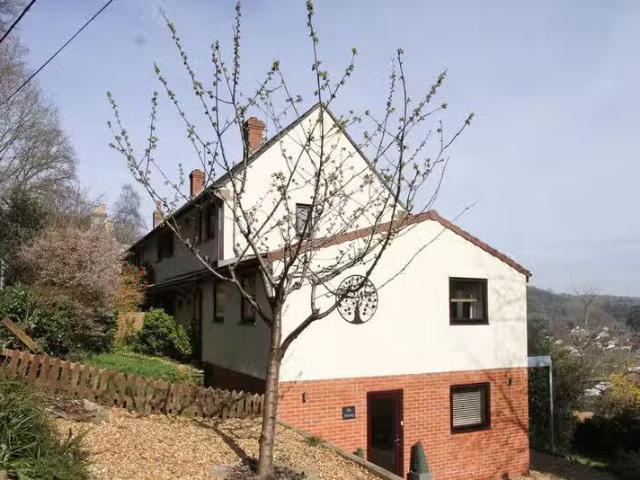 House for rent