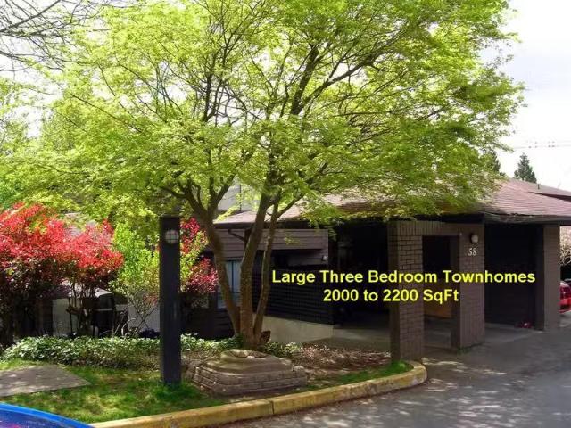 Condo for rent in Coquitlam, British Columbia