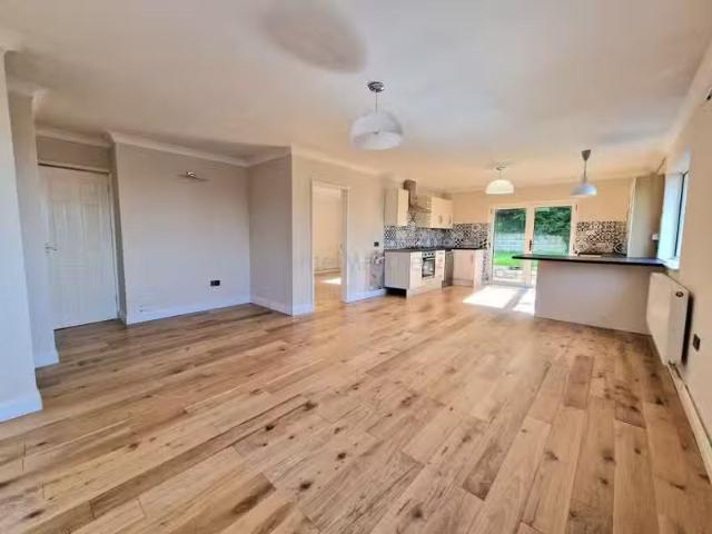 House for rent