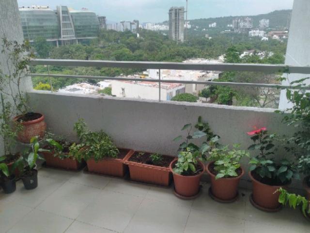 Flat for rent in Balewadi, Pune