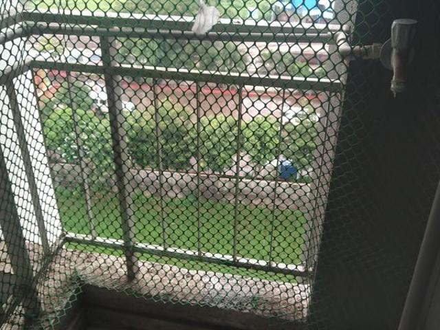 Flat for rent in Balewadi, Pune