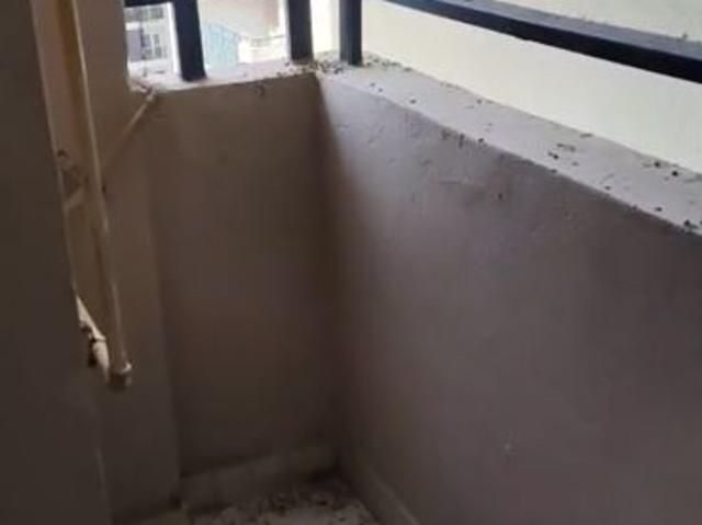Flat for rent in Shahdara, Noida