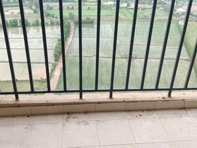 Flat for rent in Gari Samastpur, Noida