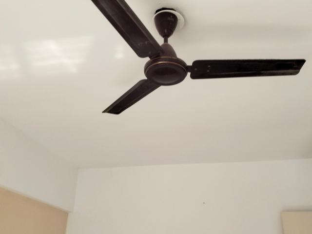Flat for rent in Lushlife Ovo, Pune