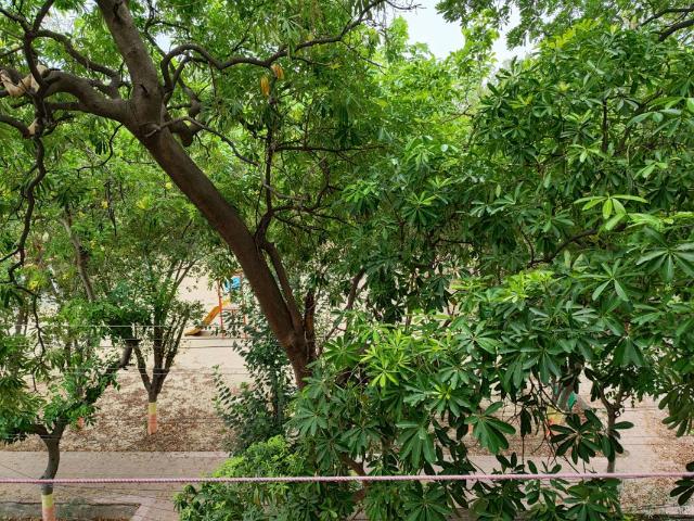 House for rent in Sector 19, Noida