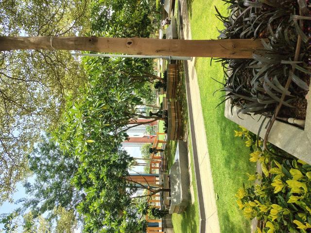Flat for rent in Narsingi, Ranga Reddy