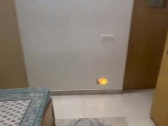 Property for rent in Pitampura, Delhi