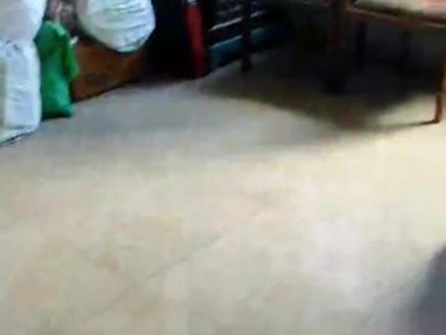 Flat for rent in Prabhadevi, Mumbai City District