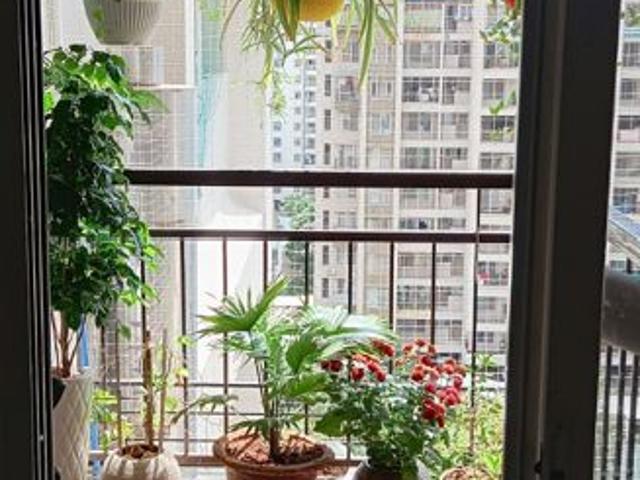 Flat for rent in Punawale, Pune