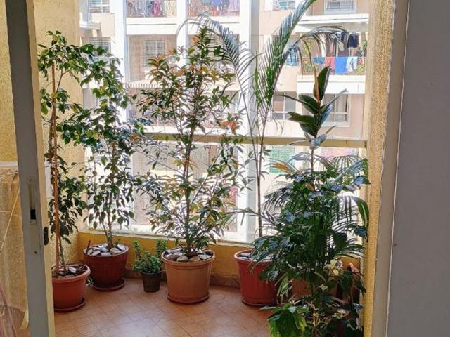 Flat for rent in Mundhwa, Pune