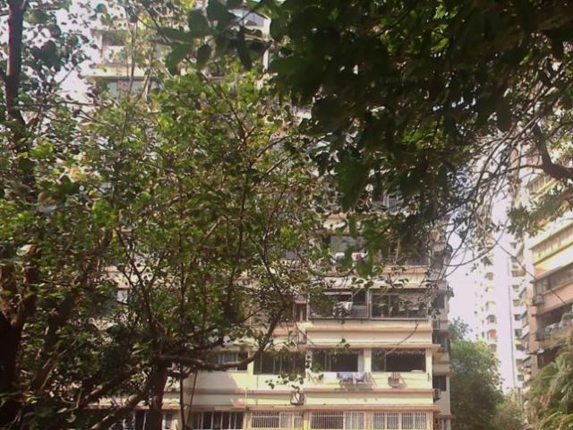 Flat for rent in Cumballa Hill, Mumbai City District