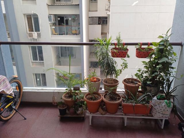 Flat for rent in 66 Avenue, Pimpri-Chinchwad
