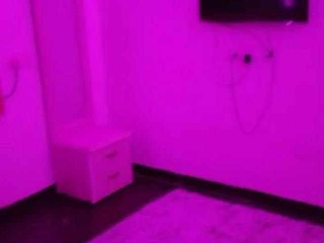 Flat for rent in Lucknow