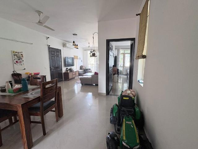 Flat for rent in International City, Gurugram