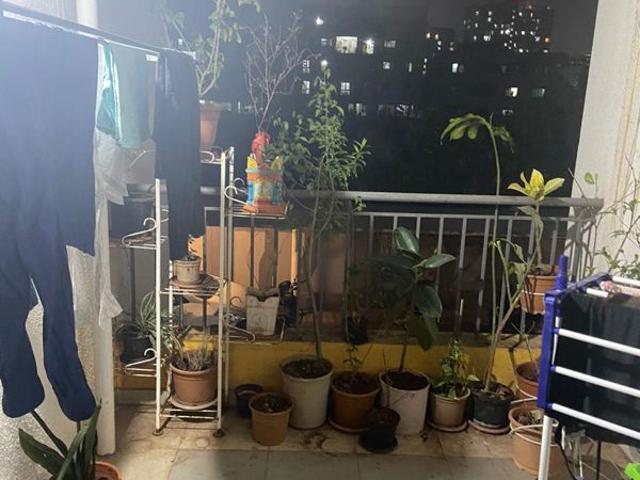 Flat for rent in Mhalunge, Pune