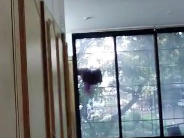 Flat for rent in Kurla East, Mumbai