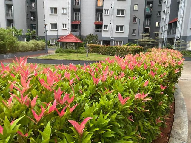 Flat for rent in Bren Lakeview, Bengaluru