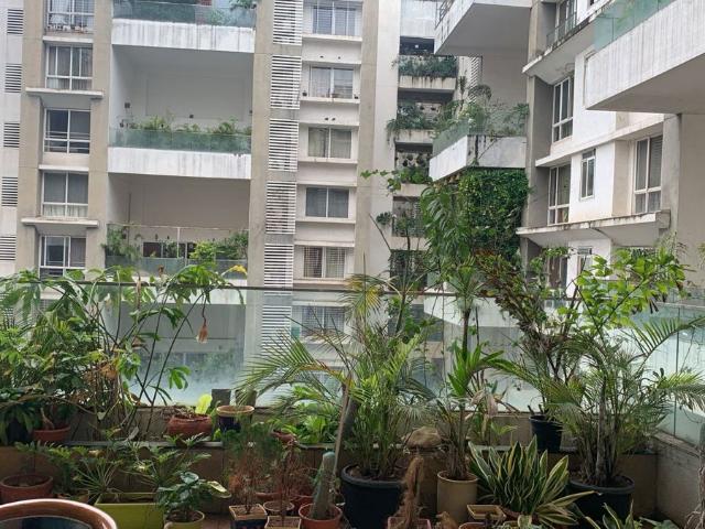 Flat for rent in Kharadi, Pune