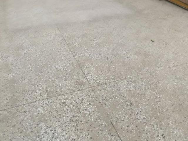 Flat for rent in Shadipur, Delhi