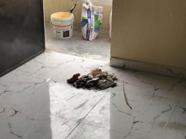 Property for rent in Sector 40, Noida