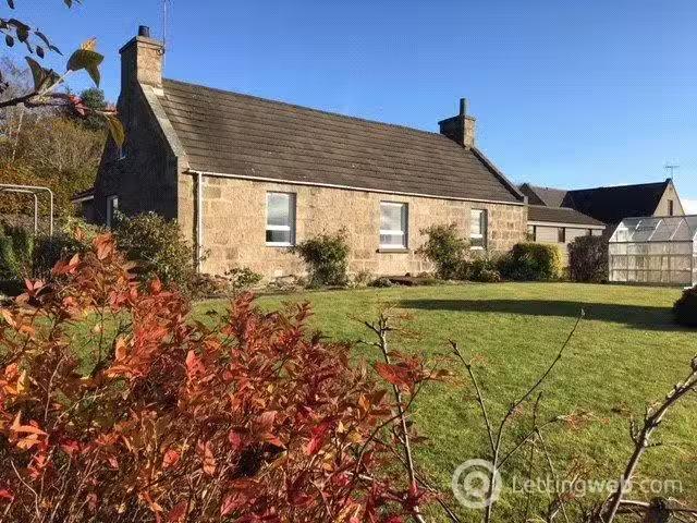 House for rent