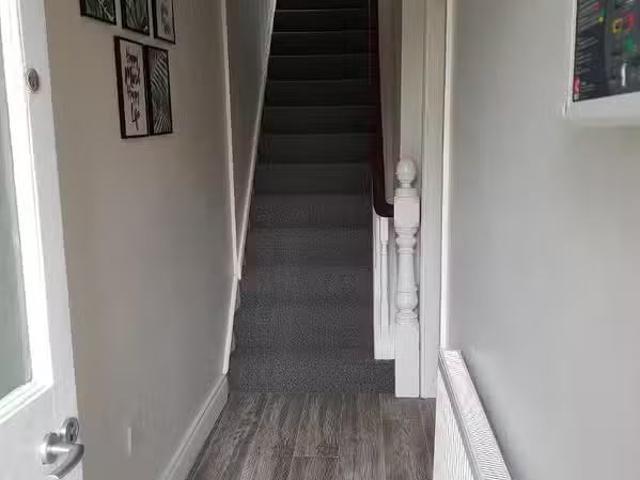 House to rent