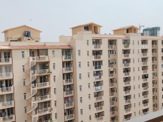 Flat for rent in Palm Hills, Gurugram