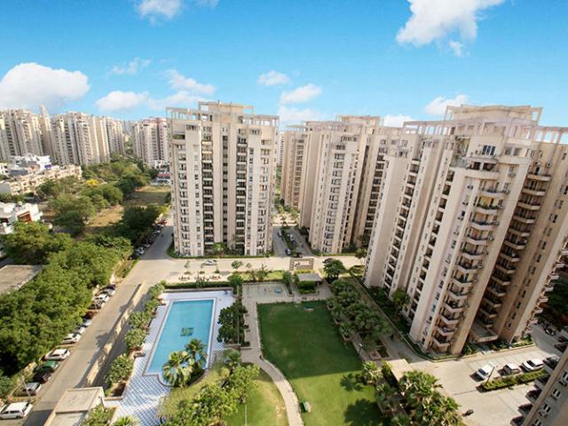 Flat for rent in Orchid Petals, Gurugram