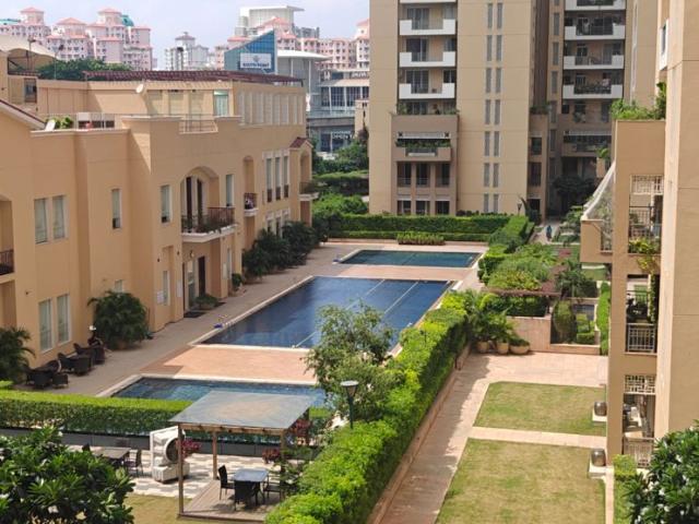 Flat for rent in DLF 5, Gurugram