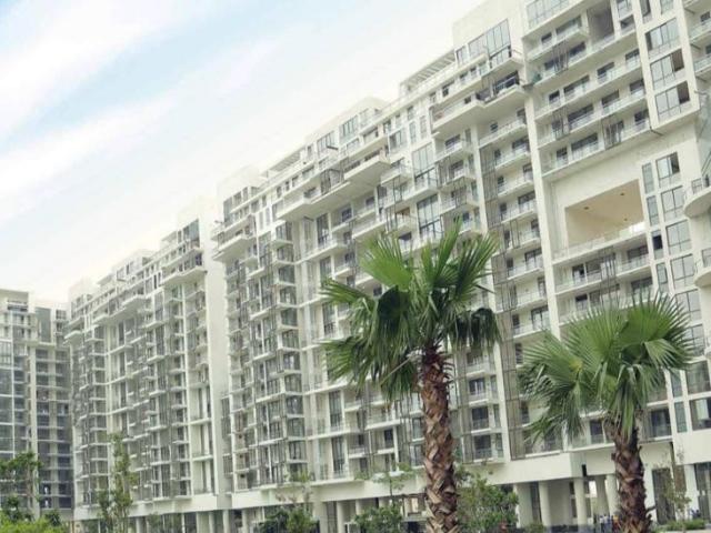 Flat for rent in Sector 65, Gurugram
