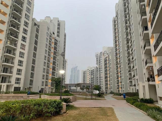 Flat for rent in International City, Gurugram
