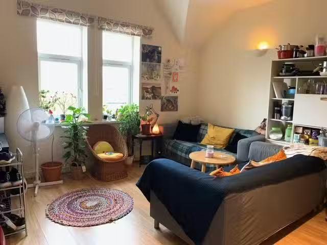 House for rent