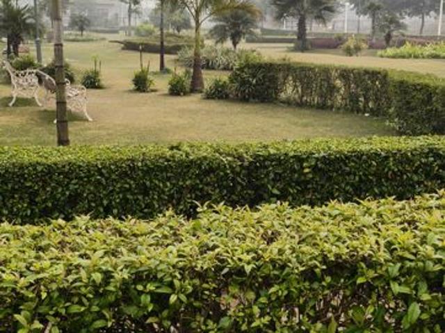 Property for rent in Faizupur Majra Neemka, SECTOR 77