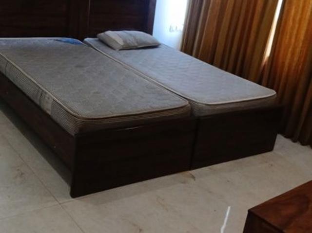 Flat for rent in Sector 51, Noida