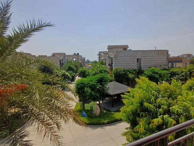 Flat for rent in Punjab