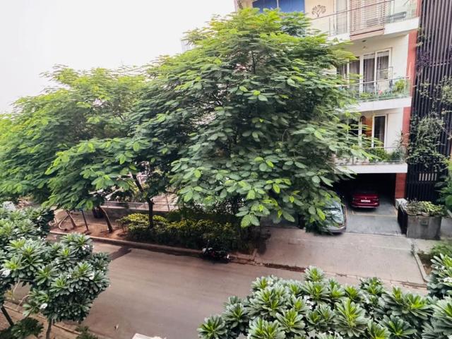 Flat for rent in Sohna, Gurugram