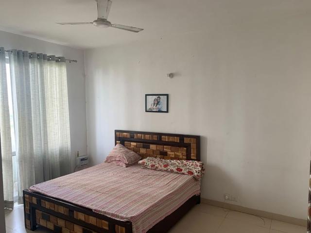 Flat for rent in City Homes, Gurugram