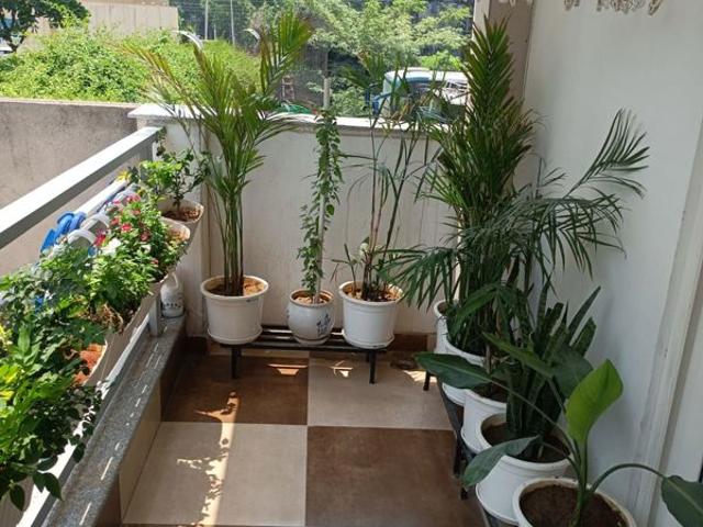 House for rent in Hariana