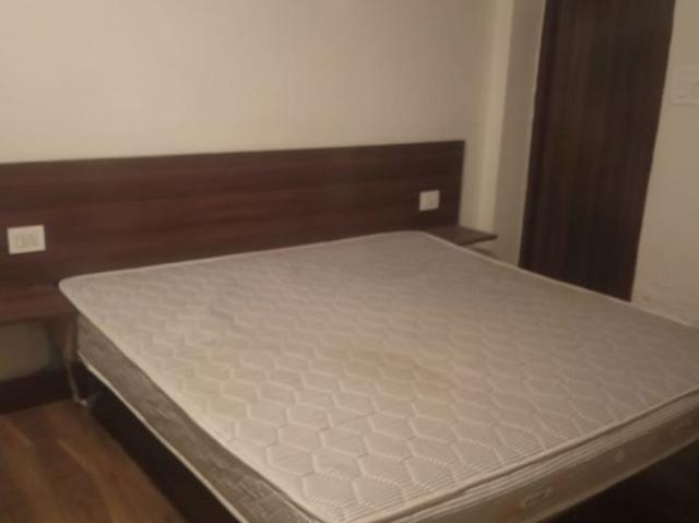 Property for rent in Safdarjung Enclave, Delhi
