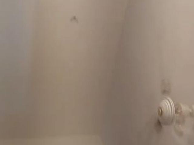 Flat for rent in Brigade Meadows, Udayapura